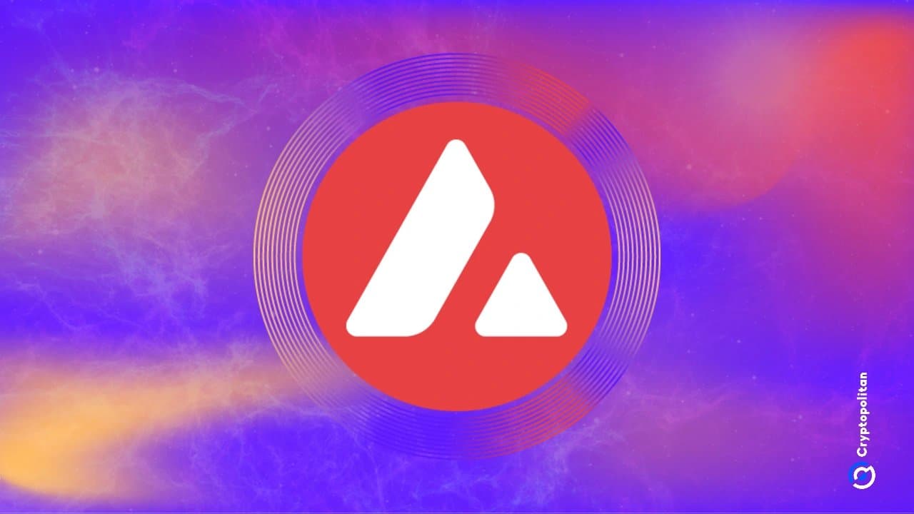 Progmat Transfers Over $3 Billion in Tokenized Securities to Avalanche Network