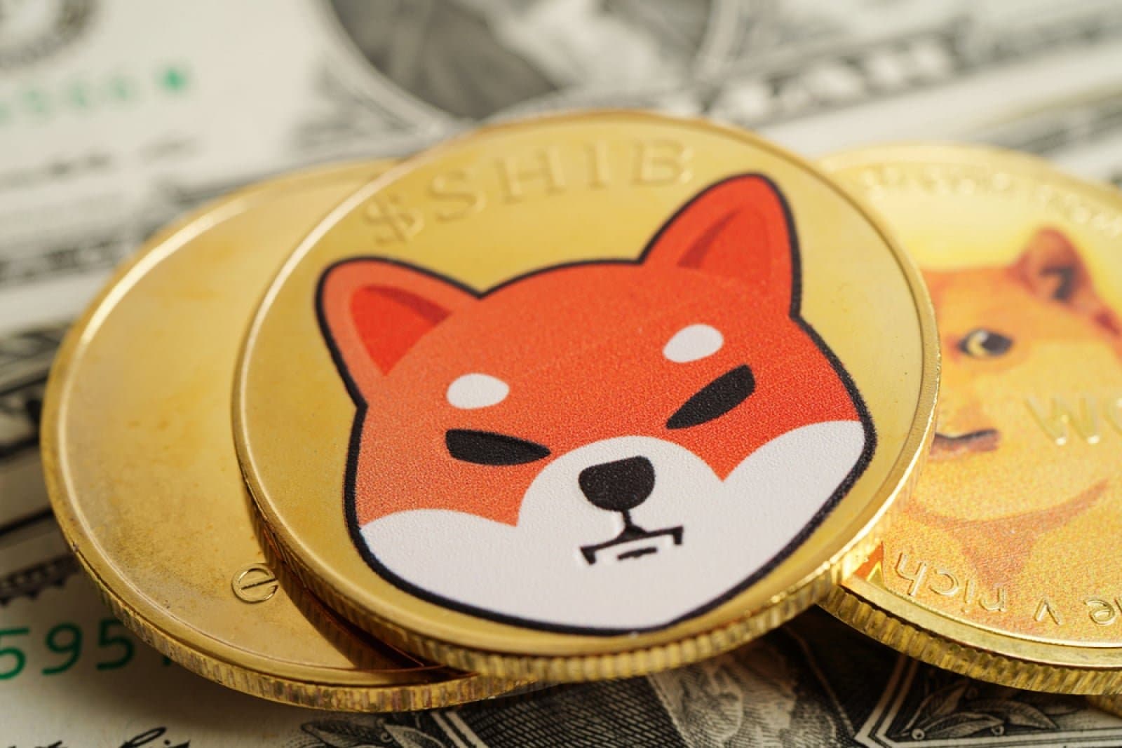 Shiba Inu Sees Significant Increase in Weekly Spot Transactions