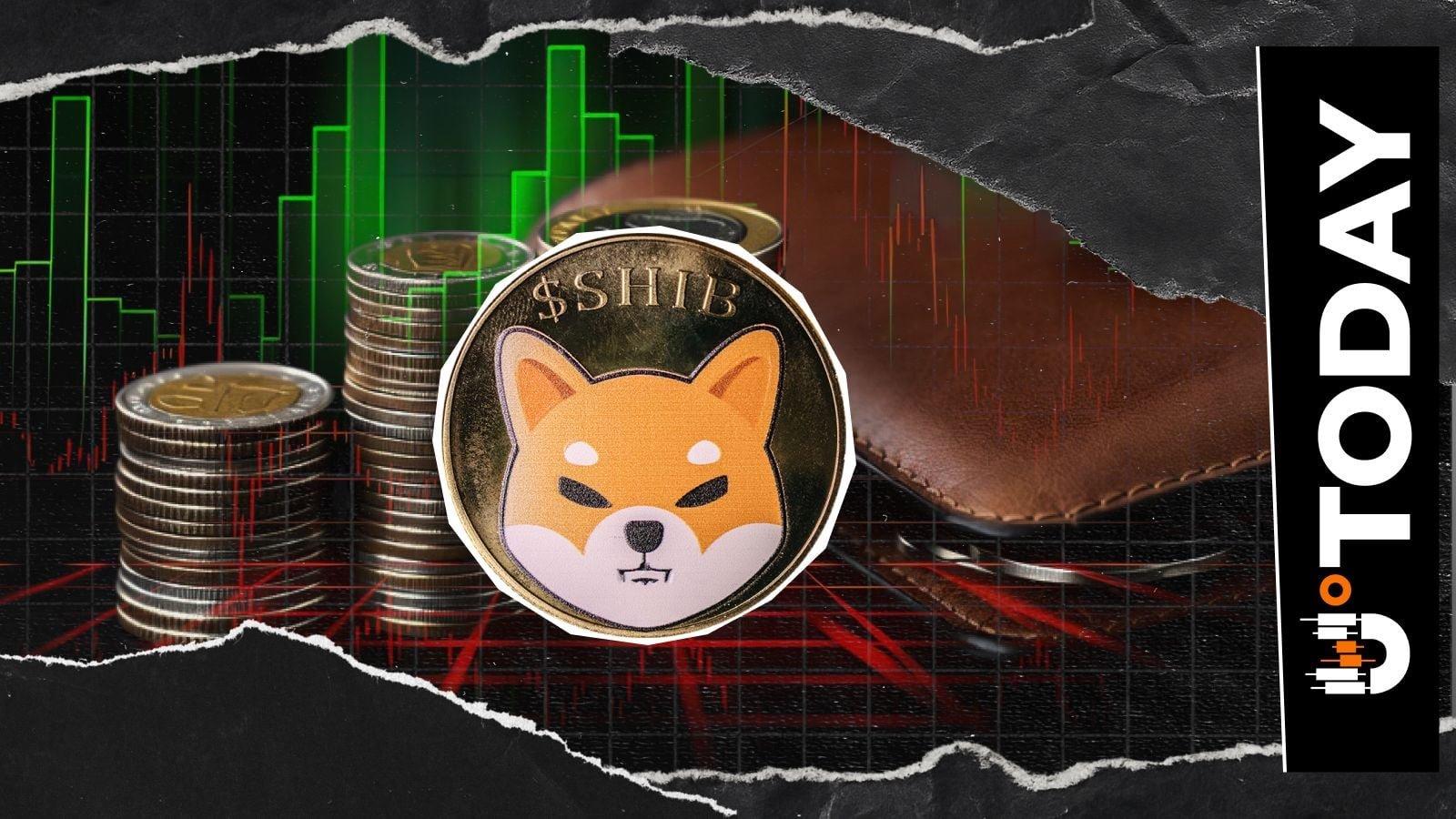 Shiba Inu Approaches 1.6 Million Holders as July Sees an Addition of 1,633 New Addresses