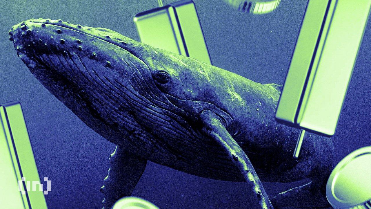 Recent Significant Whale Transactions Signal Renewed Interest in Lighter and Mantle Altcoins