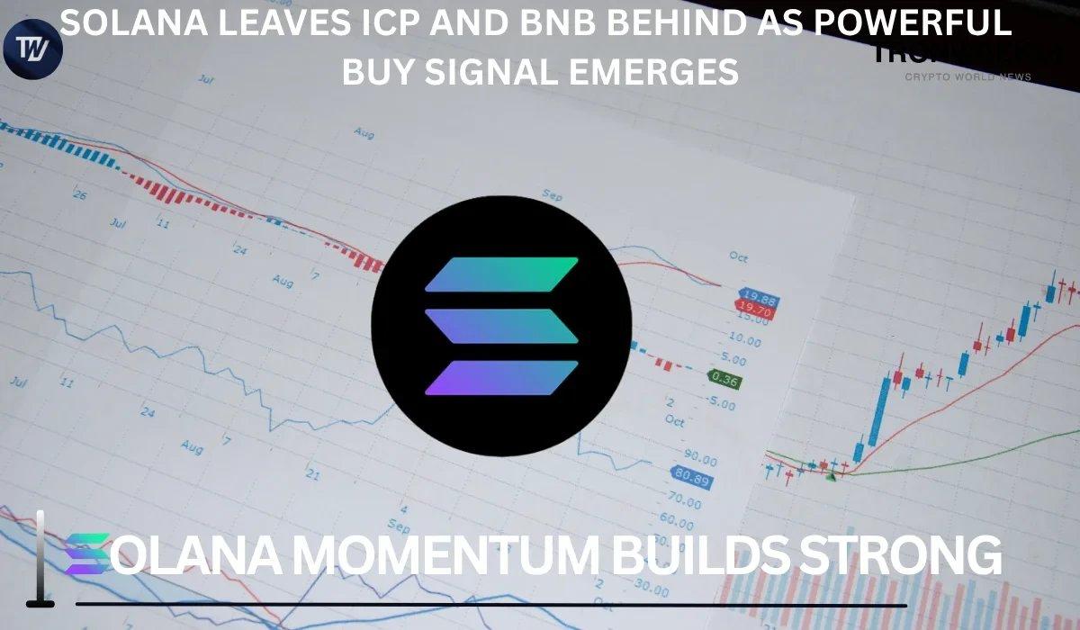 Solana Outshines ICP and BNB with Signs of Investor Optimism