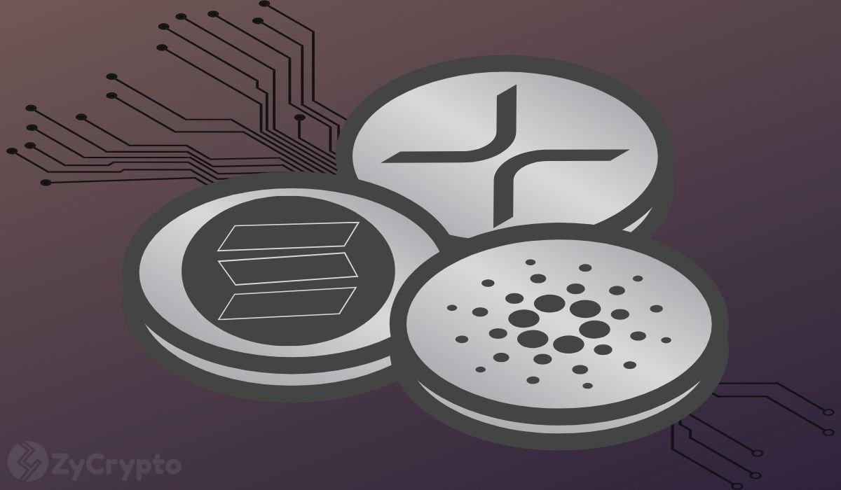 Could BlackRock Intervene to Rescue XRP, Solana, and BNB Amid Market Decline? Insights from Experts