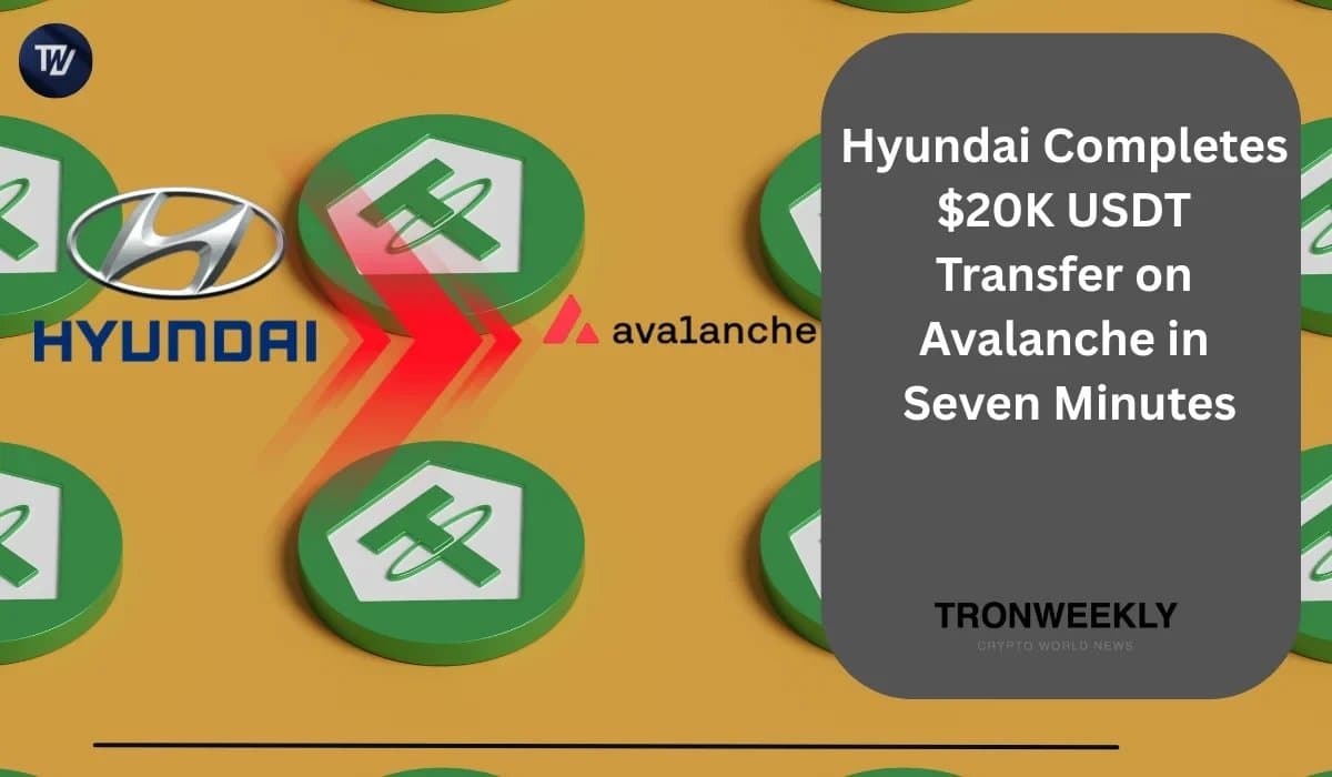 Hyundai Executes Fast $20K USDT Transfer on Avalanche Blockchain