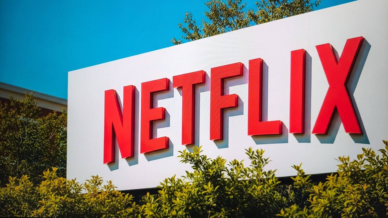 Netflix Faces Challenges as Stock Takes a Hit of Over 20%