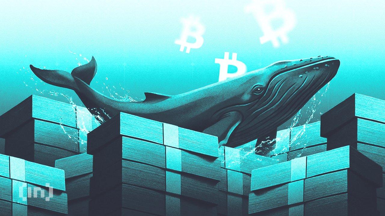 Are Bitcoin Whales Ahead of Wall Street in Recent Buying Trends?