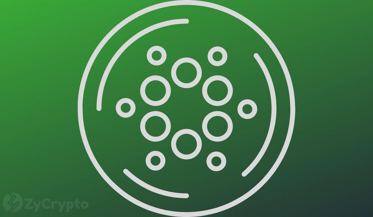 Hoskinson Highlights Cardano's Resilience Leading Up to Major Upgrade
