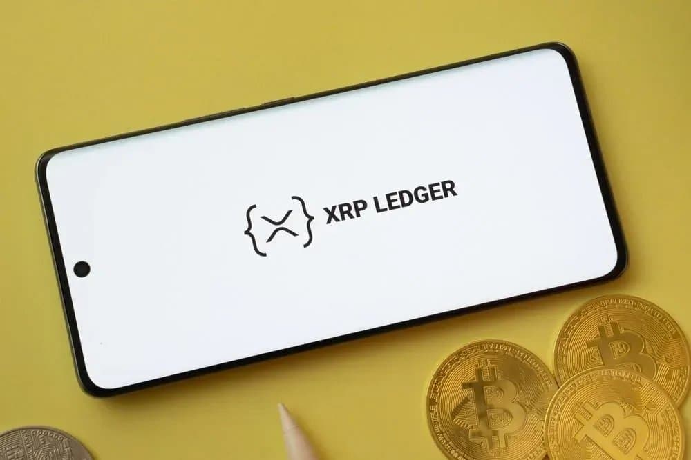 DTCC's Position on XRP Ledger: A Closer Look