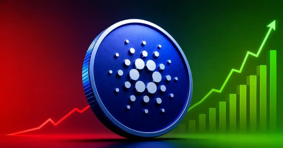 Large ADA Investors Continue Accumulating Despite Declining Prices