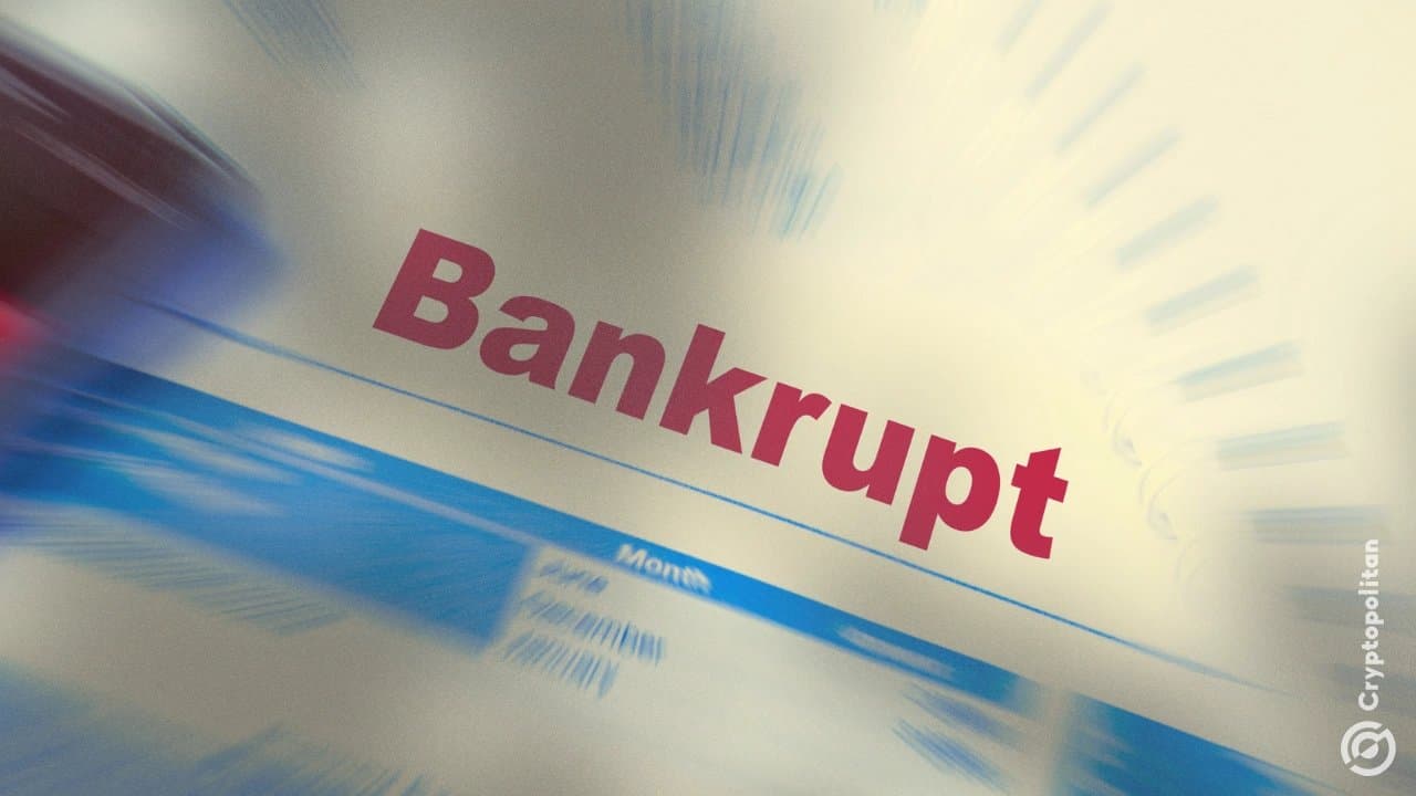 Dutch Court Rules Cryptocurrency Exchange Knaken Bankrupt After €7 Million Disappears
