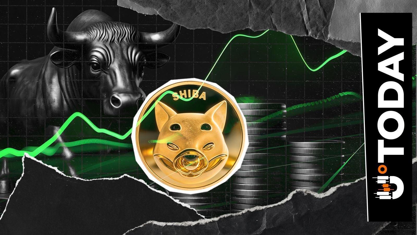 Surge in Shiba Inu Exchange Activity Signals Bullish Sentiment