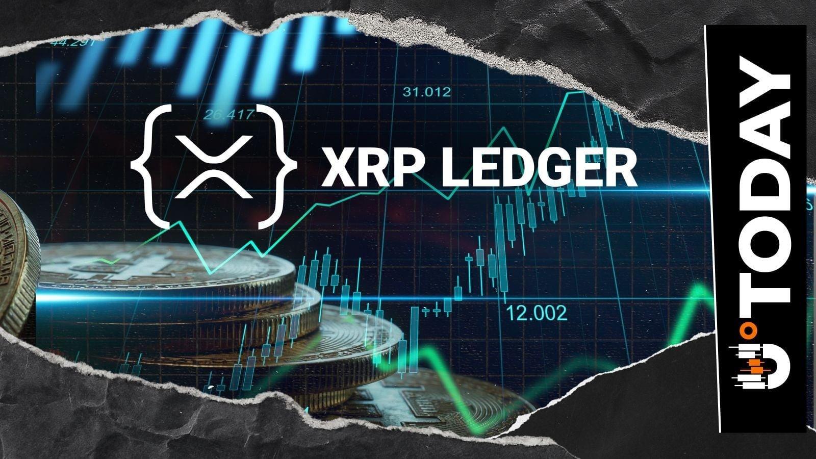 RLUSD Supply on XRP Network Reaches Over 50%