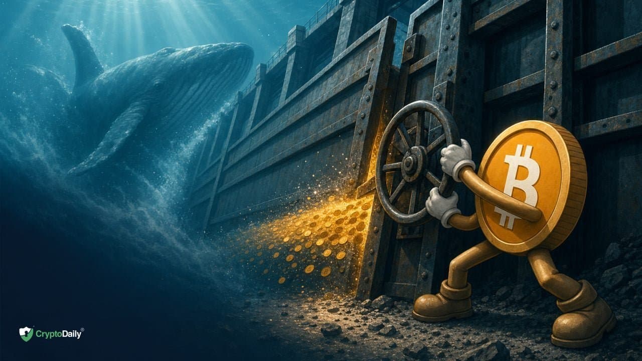 The Awakening of Bitcoin Whales: What It Means for the Market