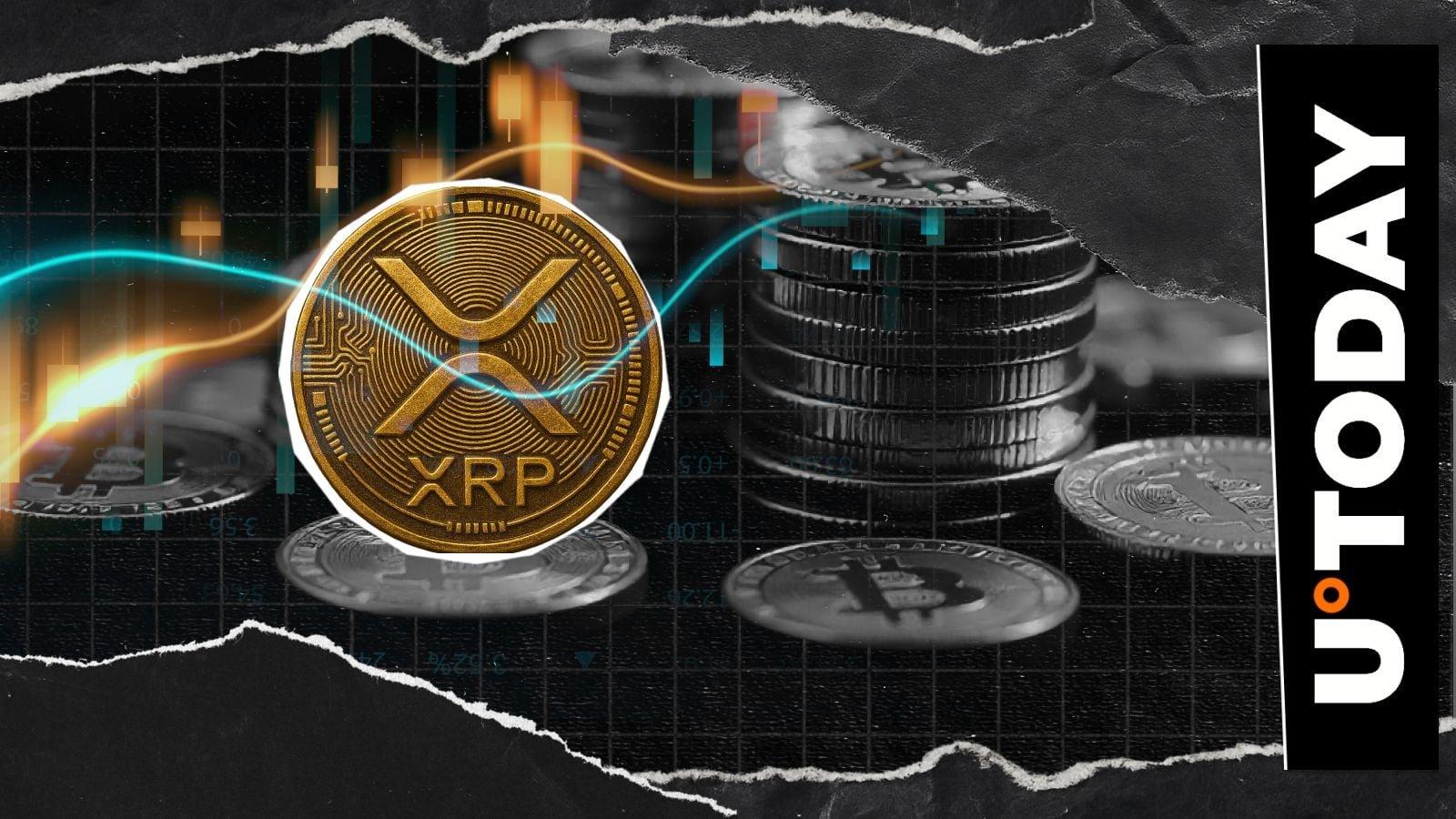 XRP Gains Ground Against Bitcoin as July 4th Momentum Rises