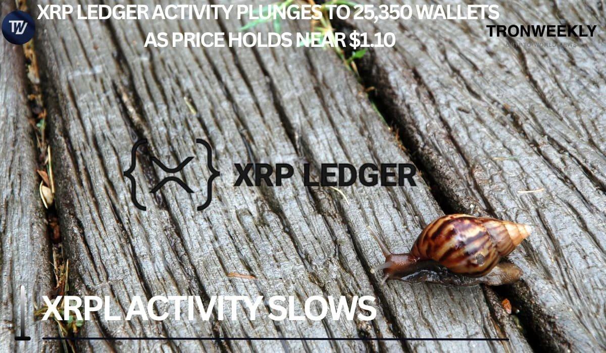XRP Ledger Shows Decreased Activity with Wallets Dropping to 25,350 as Price Stabilizes