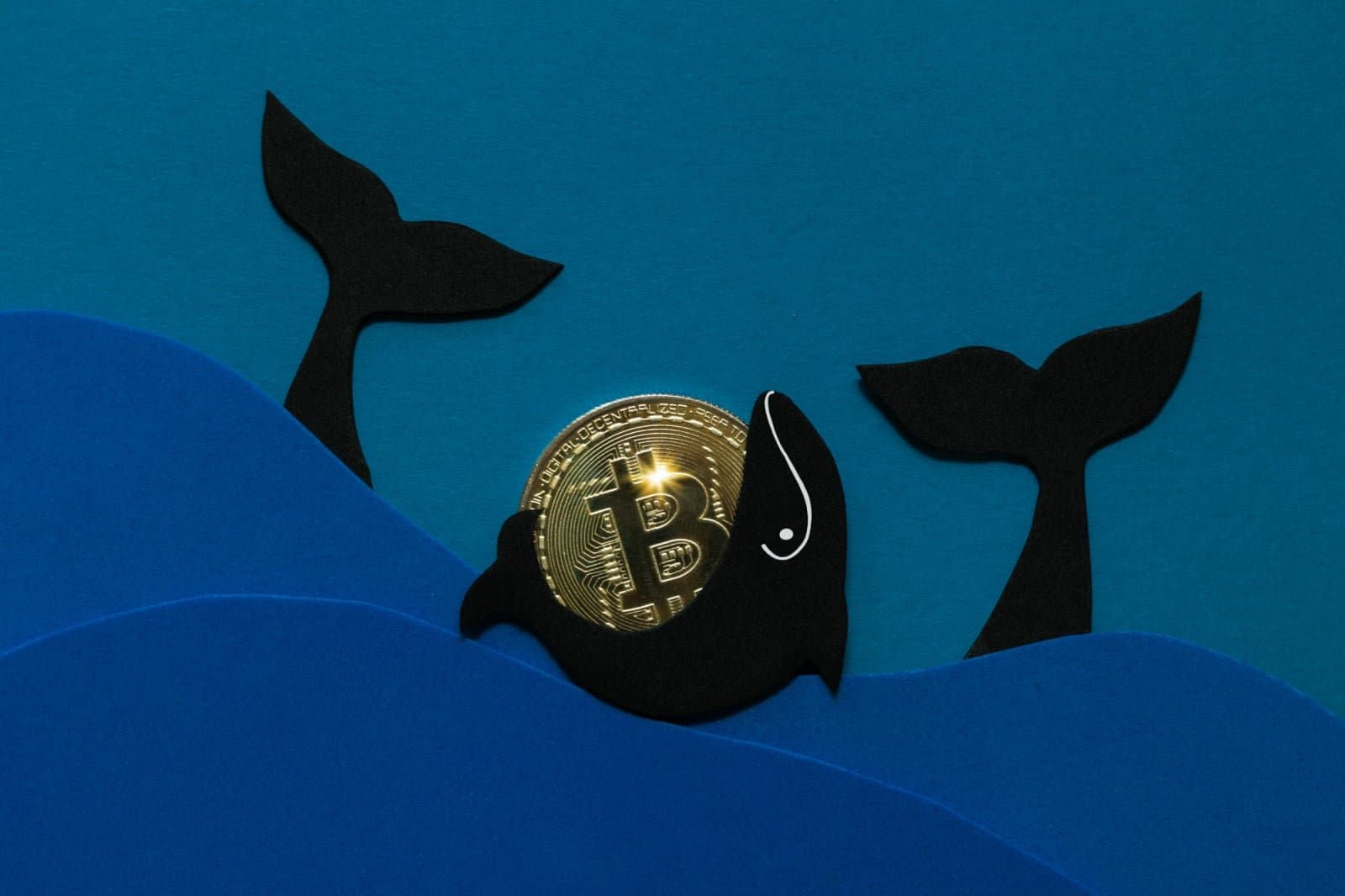 End of an Era for Bitcoin Whales as Selling Activity Dwindles