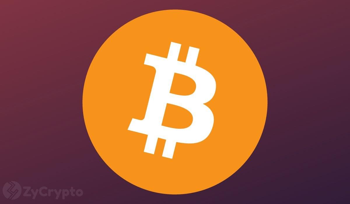 Bitcoin Approaches Its Last Selling Phase: Insights on the Next Steps