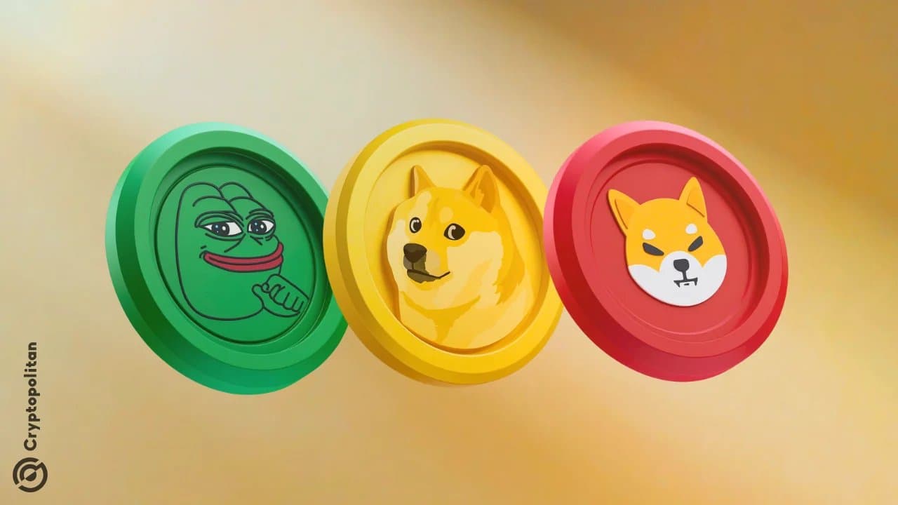 Can Sellers Really Eliminate Meme Tokens from the Market?