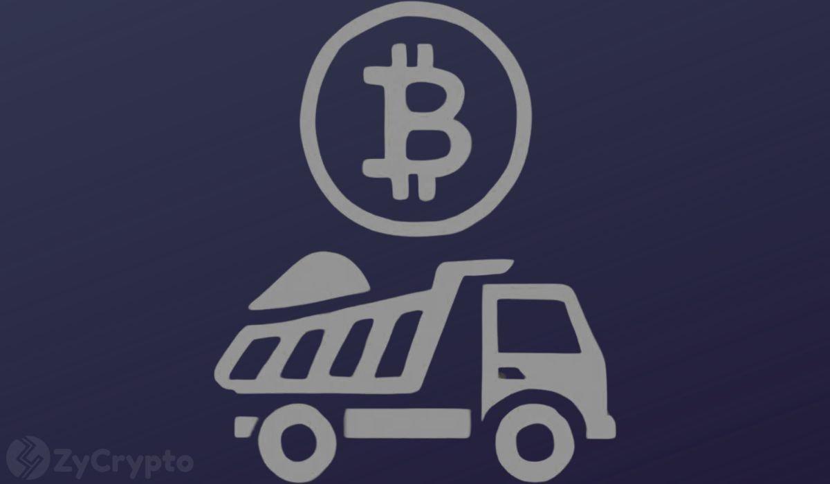 Ex-Meta Developer Sells Bitcoin Holdings, Turns Attention to AI Investments