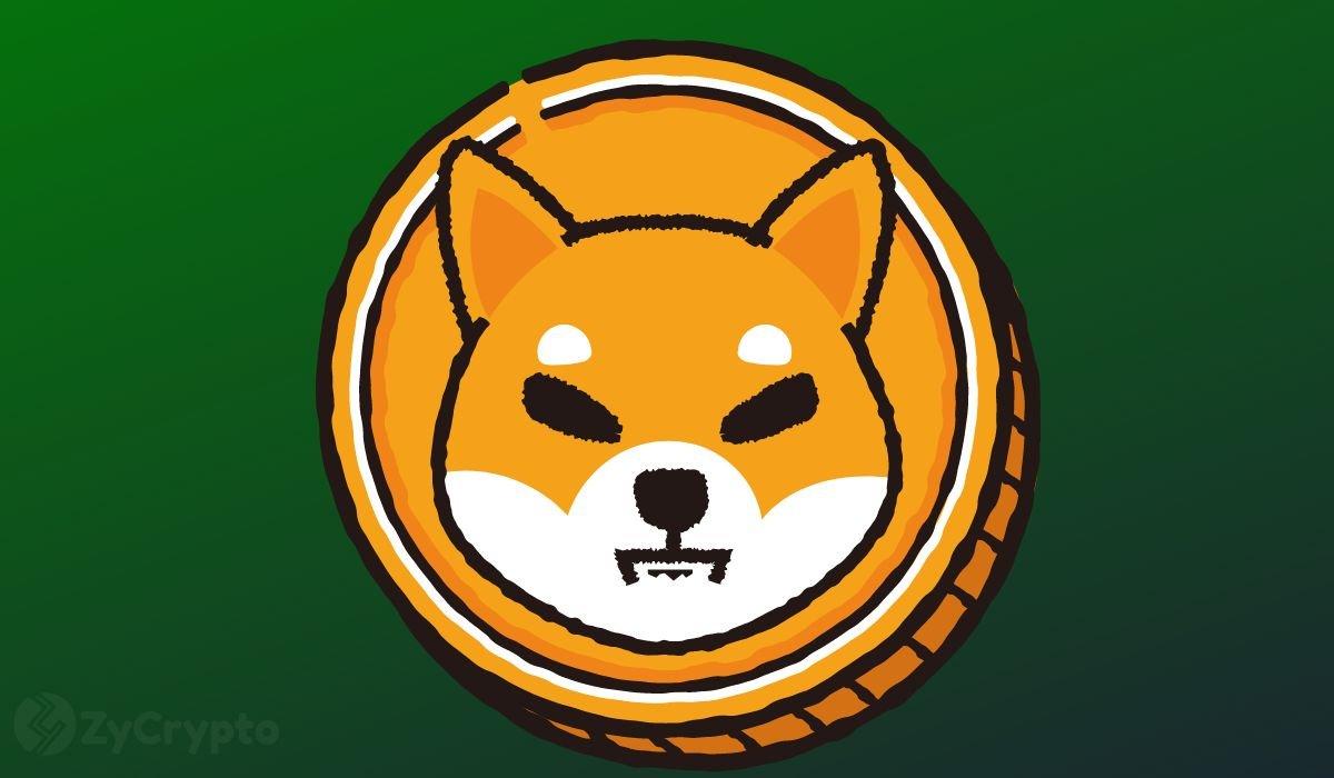 Shiba Inu Faces Continued Struggles as Price Lags Behind Previous Peaks