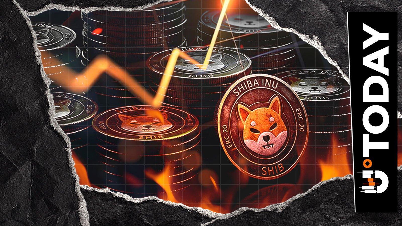 Shiba Inu’s Burn Rate Surge: 7.64 Million Tokens Incinerated in Just One Day
