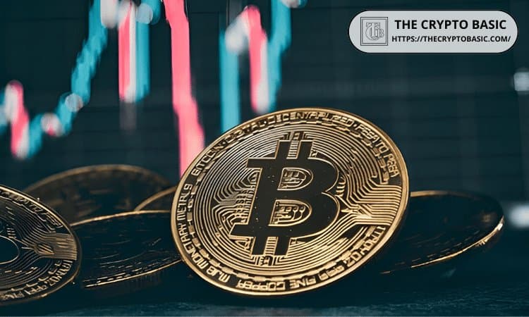 Bitcoin Accumulation Signals Resilience Amid Market Correction Risks